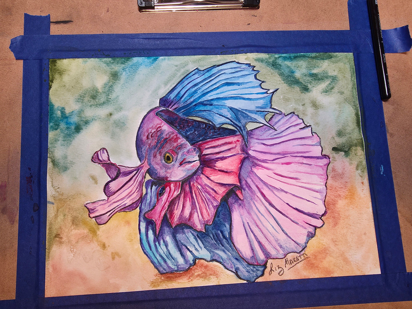 Beta Fish