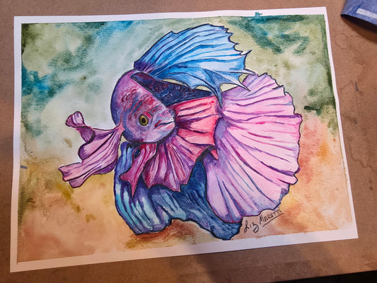 Beta Fish